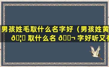 男孩姓毛取什么名字好（男孩姓黄 🦊 取什么名 🐬 字好听又有深意）